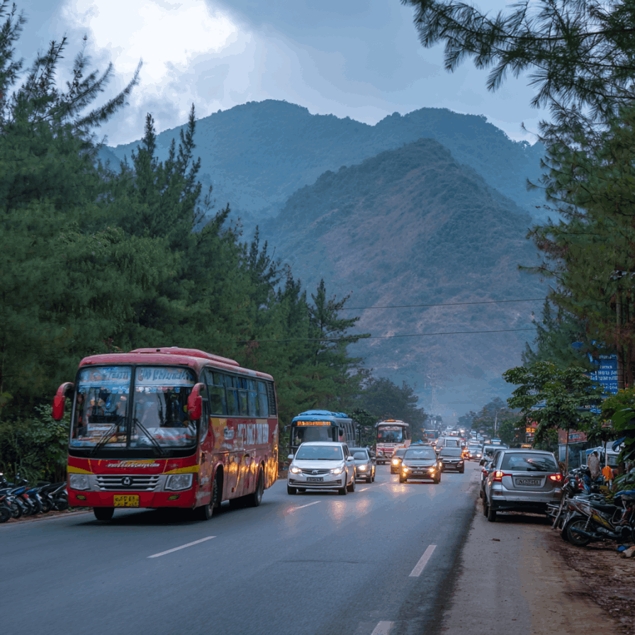 bus